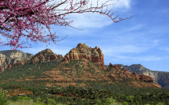 sedona-vortex-experience