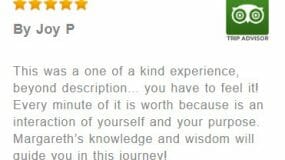 A five star review of Sedona Vortex Retreats on Trip Advisor